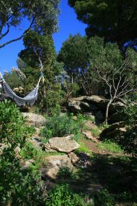 Jardin Méditerranéen et hamac