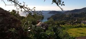 Vue sur la baie du Rayol